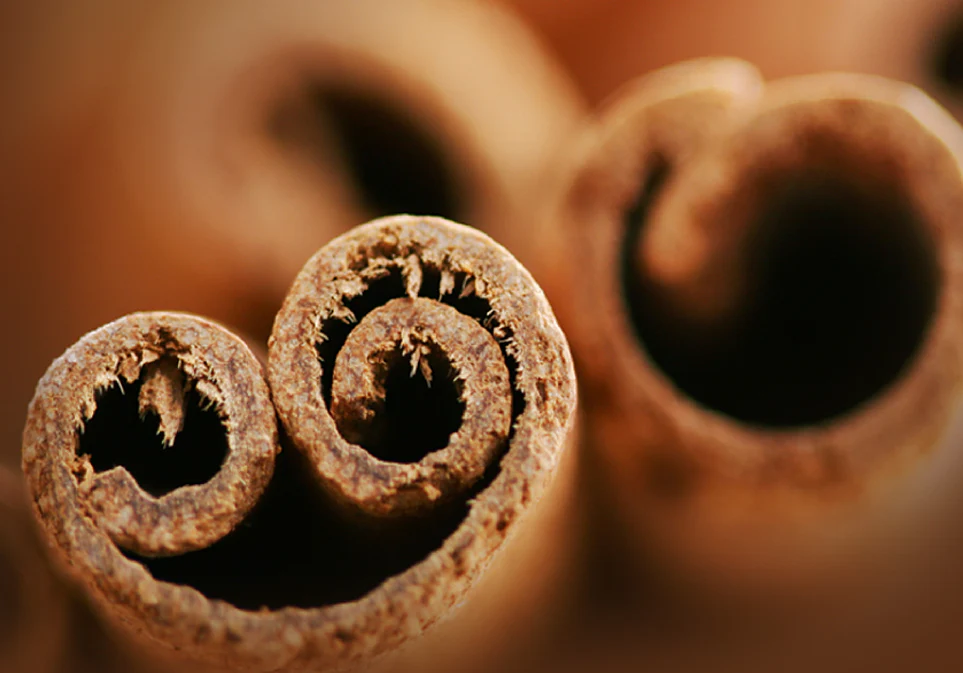 Organic Cinnamon Rooibos Chai - Image 7